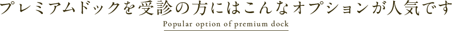 プレミアムドックを受診の方にはこんなオプションが人気です